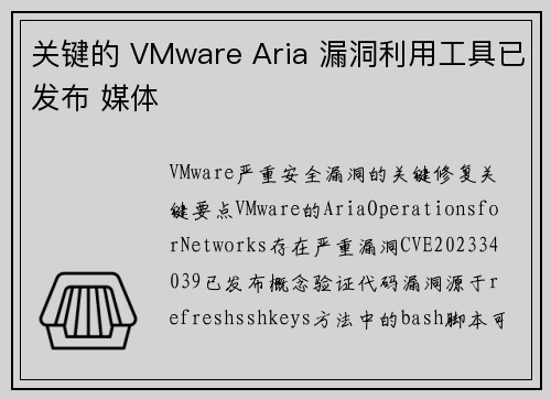 关键的 VMware Aria 漏洞利用工具已发布 媒体
