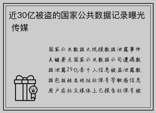 近30亿被盗的国家公共数据记录曝光 传媒